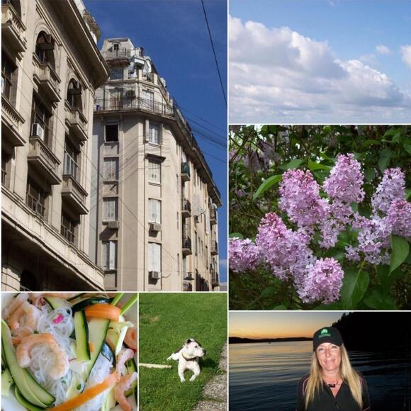 Pink kodak c613 digital camera - Picture 5 of 5